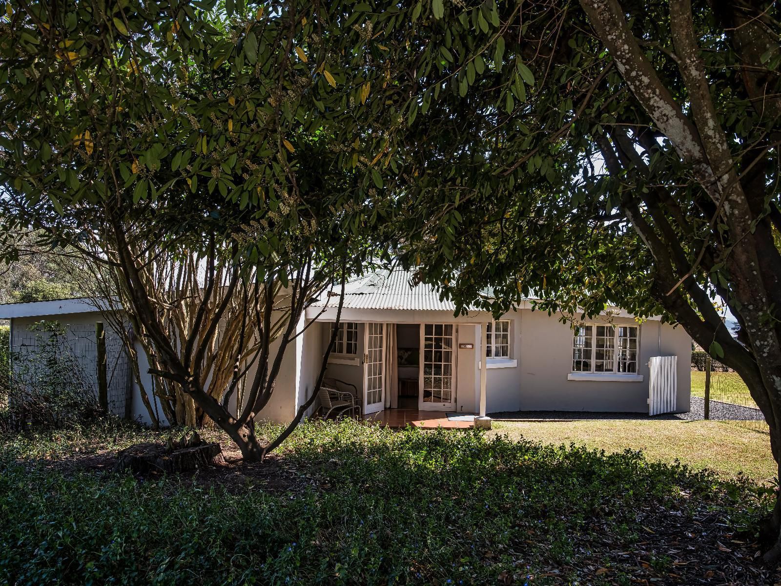 Old Rearsby Mooi River Kwazulu Natal South Africa House, Building, Architecture, Palm Tree, Plant, Nature, Wood