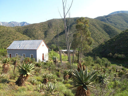 The Old School House Calitzdorp Western Cape South Africa Plant, Nature
