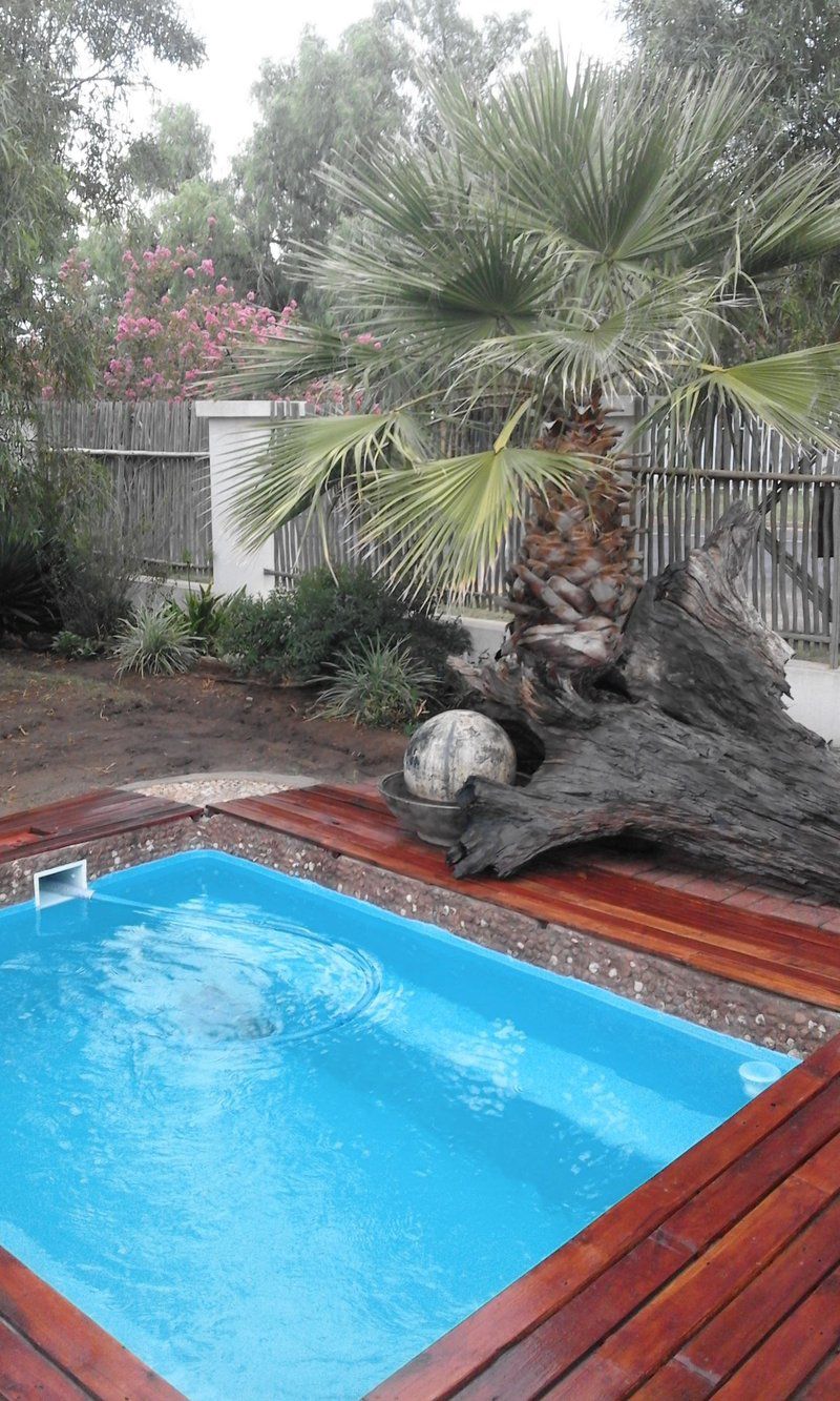 Old Time Guest House Parys Free State South Africa Palm Tree, Plant, Nature, Wood, Garden, Swimming Pool