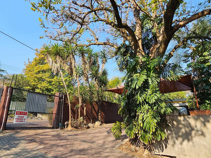 Old Vic Traveller S Inn Nelspruit Mpumalanga South Africa Complementary Colors, Palm Tree, Plant, Nature, Wood