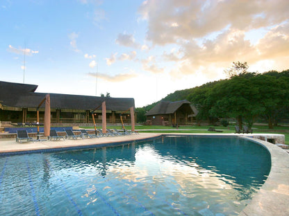 Olievenfontein Private Game Reserve Vaalwater Limpopo Province South Africa Swimming Pool