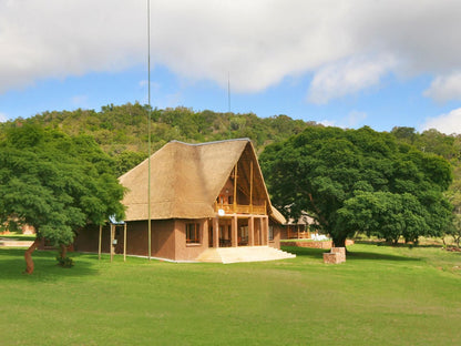 Olievenfontein Private Game Reserve Vaalwater Limpopo Province South Africa 