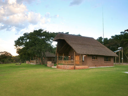 Olievenfontein Private Game Reserve Vaalwater Limpopo Province South Africa Complementary Colors