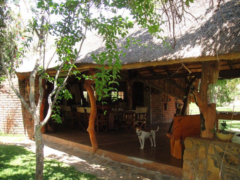 Olievenhoutsrus Guest And Game Farm Vaalwater Limpopo Province South Africa Building, Architecture