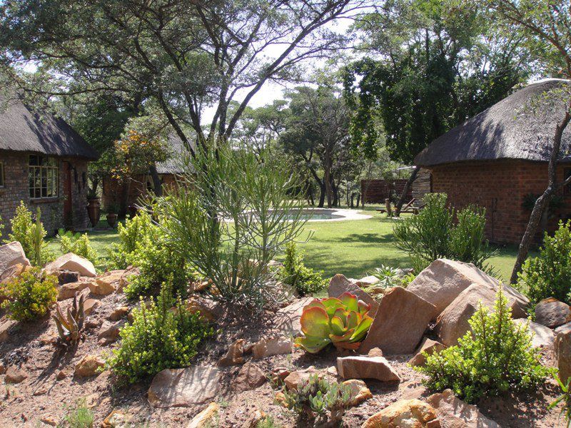 Olievenhoutsrus Guest And Game Farm Vaalwater Limpopo Province South Africa Plant, Nature, Garden