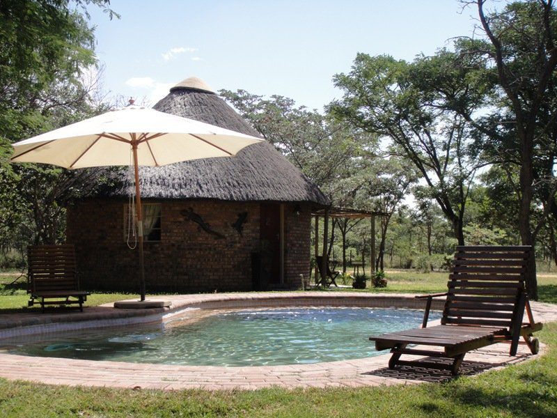 Olievenhoutsrus Guest And Game Farm Vaalwater Limpopo Province South Africa Swimming Pool