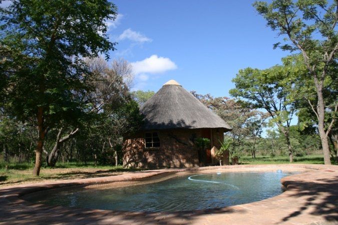 Olievenhoutsrus Guest And Game Farm Vaalwater Limpopo Province South Africa Complementary Colors, Island, Nature, Swimming Pool