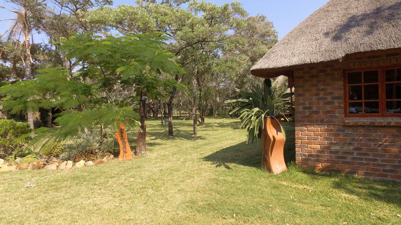 Olievenhoutsrus Guest And Game Farm Vaalwater Limpopo Province South Africa Palm Tree, Plant, Nature, Wood