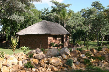 Olievenhoutsrus Guest And Game Farm Vaalwater Limpopo Province South Africa 