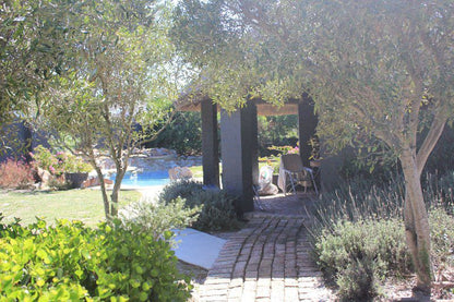 Olive Cottage Vermont Za Hermanus Western Cape South Africa Garden, Nature, Plant, Swimming Pool