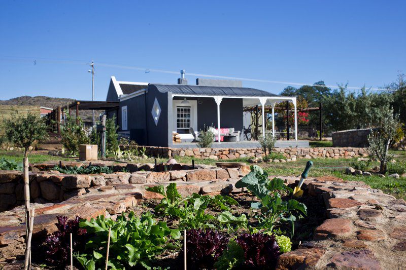 Olive Grove Cottage Prince Albert Western Cape South Africa Complementary Colors, Garden, Nature, Plant, Vegetable, Food