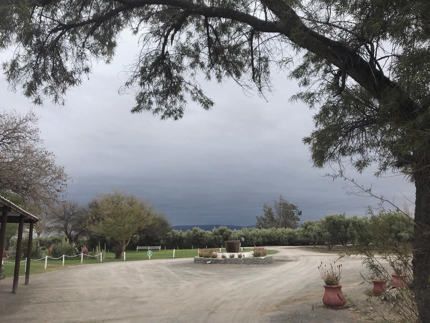 Olive Grove Guest Farm Beaufort West Western Cape South Africa Unsaturated, Nature