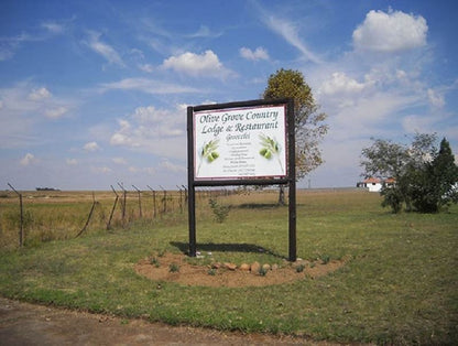 Olive Grove Country Lodge Grootvlei Mpumalanga South Africa Complementary Colors, Field, Nature, Agriculture, Lowland