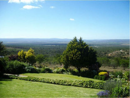 Olivewoods Bed And Breakfast Cookhouse Eastern Cape South Africa Complementary Colors, Garden, Nature, Plant