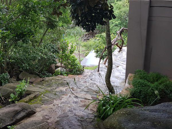 Oluchi Lodge Renosterkop Nelspruit Mpumalanga South Africa Plant, Nature, River, Waters, Tree, Wood, Waterfall, Garden