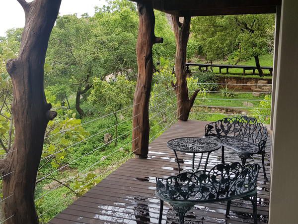 Oluchi Lodge Renosterkop Nelspruit Mpumalanga South Africa Garden, Nature, Plant