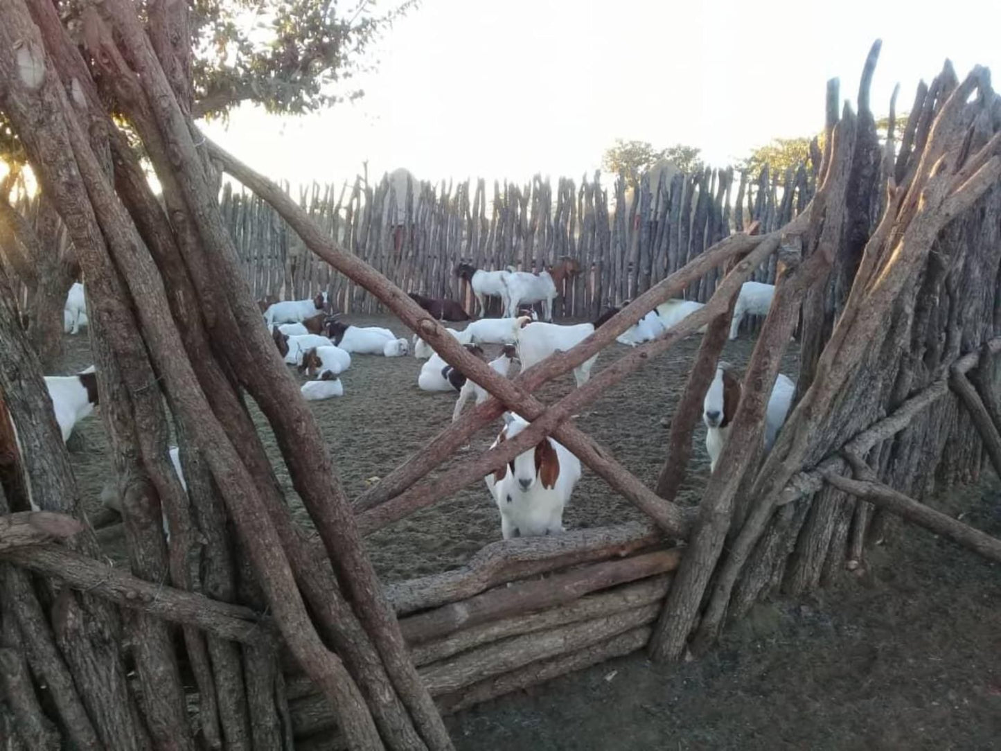 Omapaha Etosha Restcamp, Snowman, Person, Snow, Winter