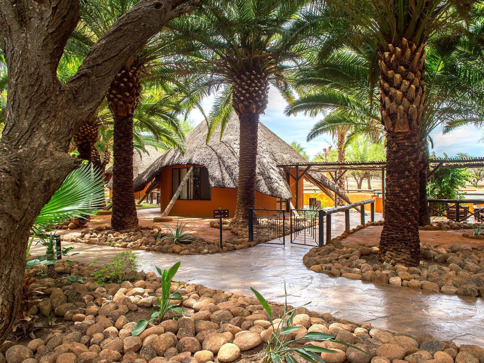 Omaruru Game Lodge, Palm Tree, Plant, Nature, Wood