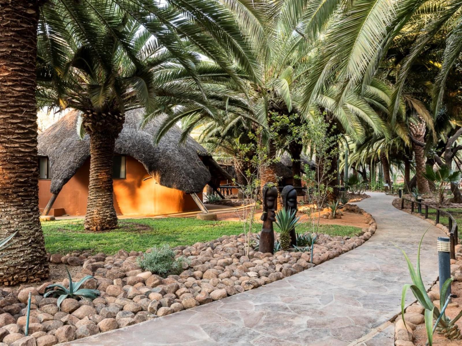 Omaruru Game Lodge, Palm Tree, Plant, Nature, Wood, Garden