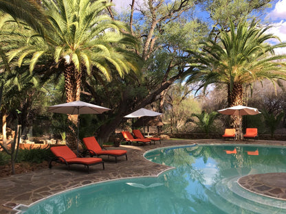 Omaruru Game Lodge, Palm Tree, Plant, Nature, Wood, Garden, Swimming Pool