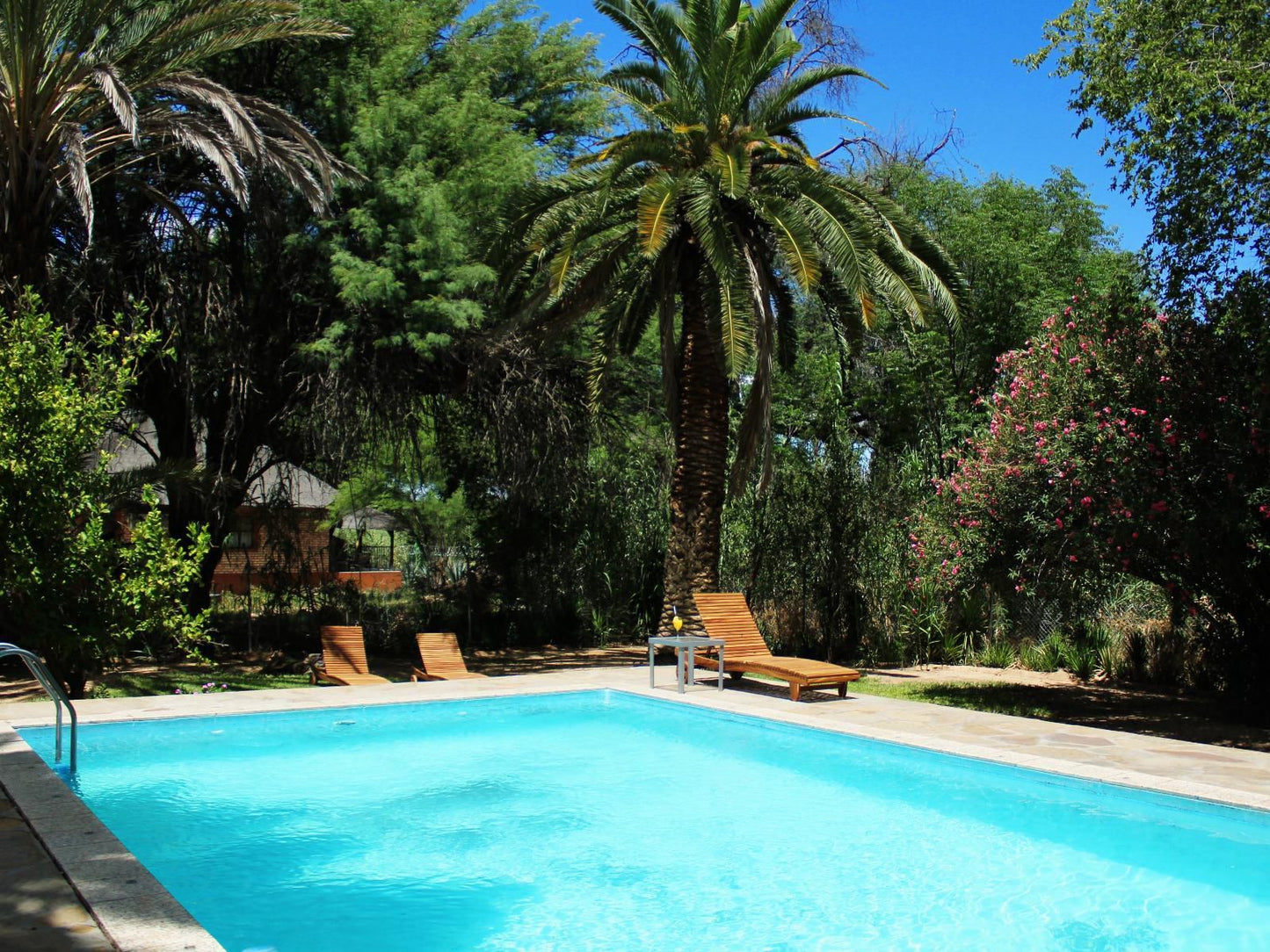 Omaruru Guesthouse, Palm Tree, Plant, Nature, Wood, Garden, Swimming Pool