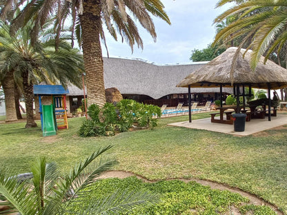 Ombinda Country Lodge, Palm Tree, Plant, Nature, Wood