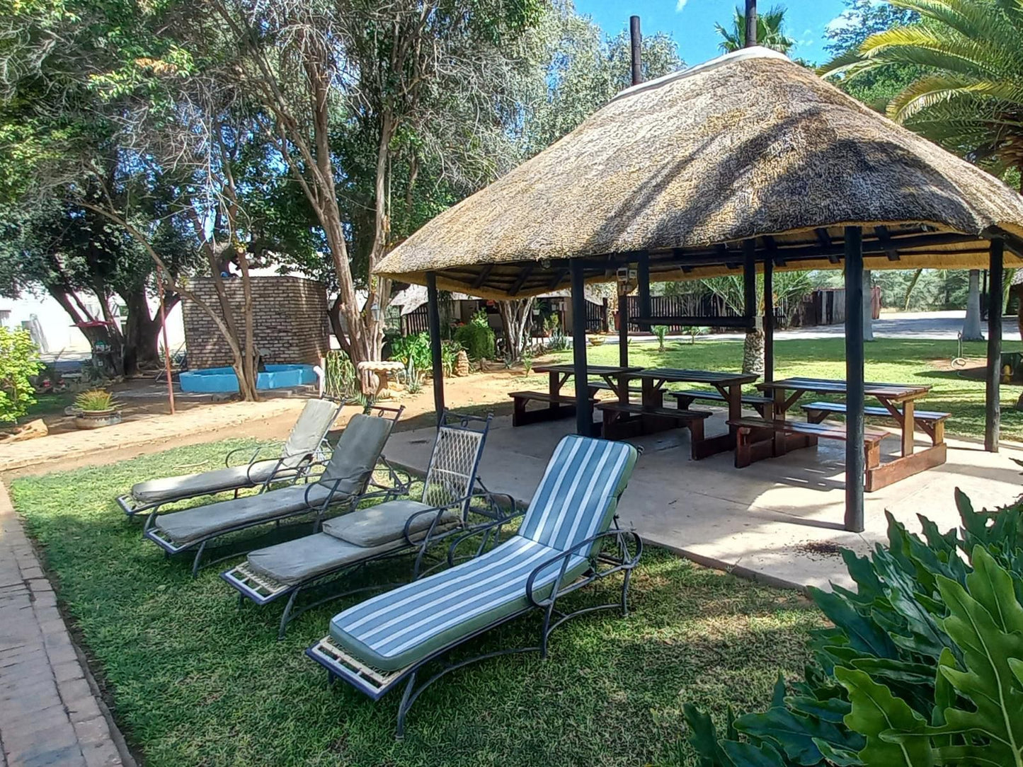 Ombinda Country Lodge, Palm Tree, Plant, Nature, Wood, Swimming Pool