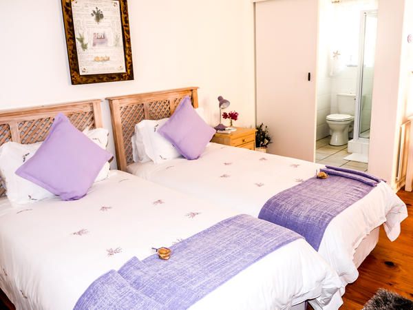 On The Bay Bed And Breakfast Summerstrand Port Elizabeth Eastern Cape South Africa Bright, Bedroom