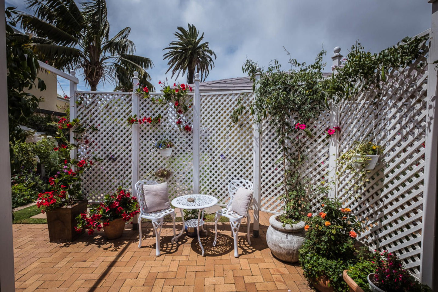 On The Bay Bed And Breakfast Summerstrand Port Elizabeth Eastern Cape South Africa Palm Tree, Plant, Nature, Wood, Garden