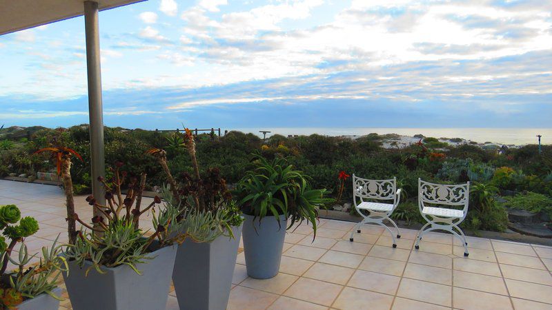 On The Beach Marilyn Apartment Yzerfontein Western Cape South Africa Beach, Nature, Sand, Palm Tree, Plant, Wood, Garden