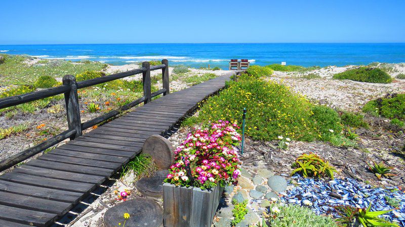 On The Beach Marilyn Apartment Yzerfontein Western Cape South Africa Complementary Colors, Beach, Nature, Sand, Plant
