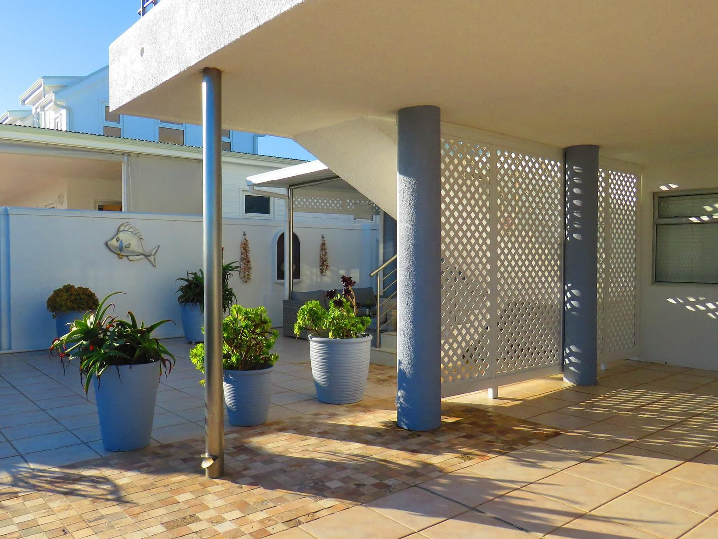 On The Beach Seabreeze Apartment Yzerfontein Western Cape South Africa Palm Tree, Plant, Nature, Wood