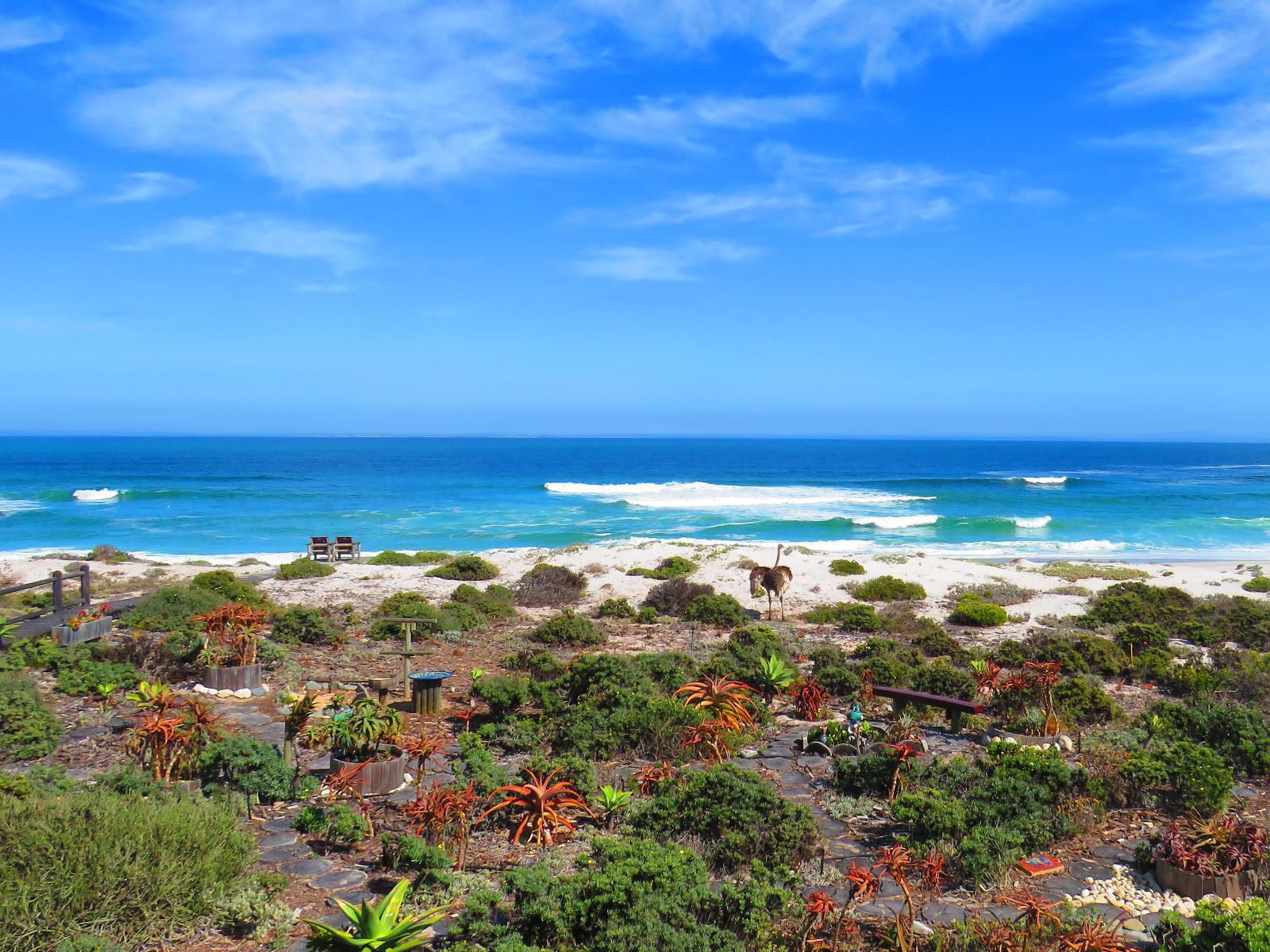 On The Beach Seabreeze Apartment Yzerfontein Western Cape South Africa Complementary Colors, Colorful, Beach, Nature, Sand, Ocean, Waters