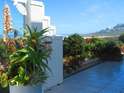 On The Beach Seabreeze Apartment Yzerfontein Western Cape South Africa Palm Tree, Plant, Nature, Wood