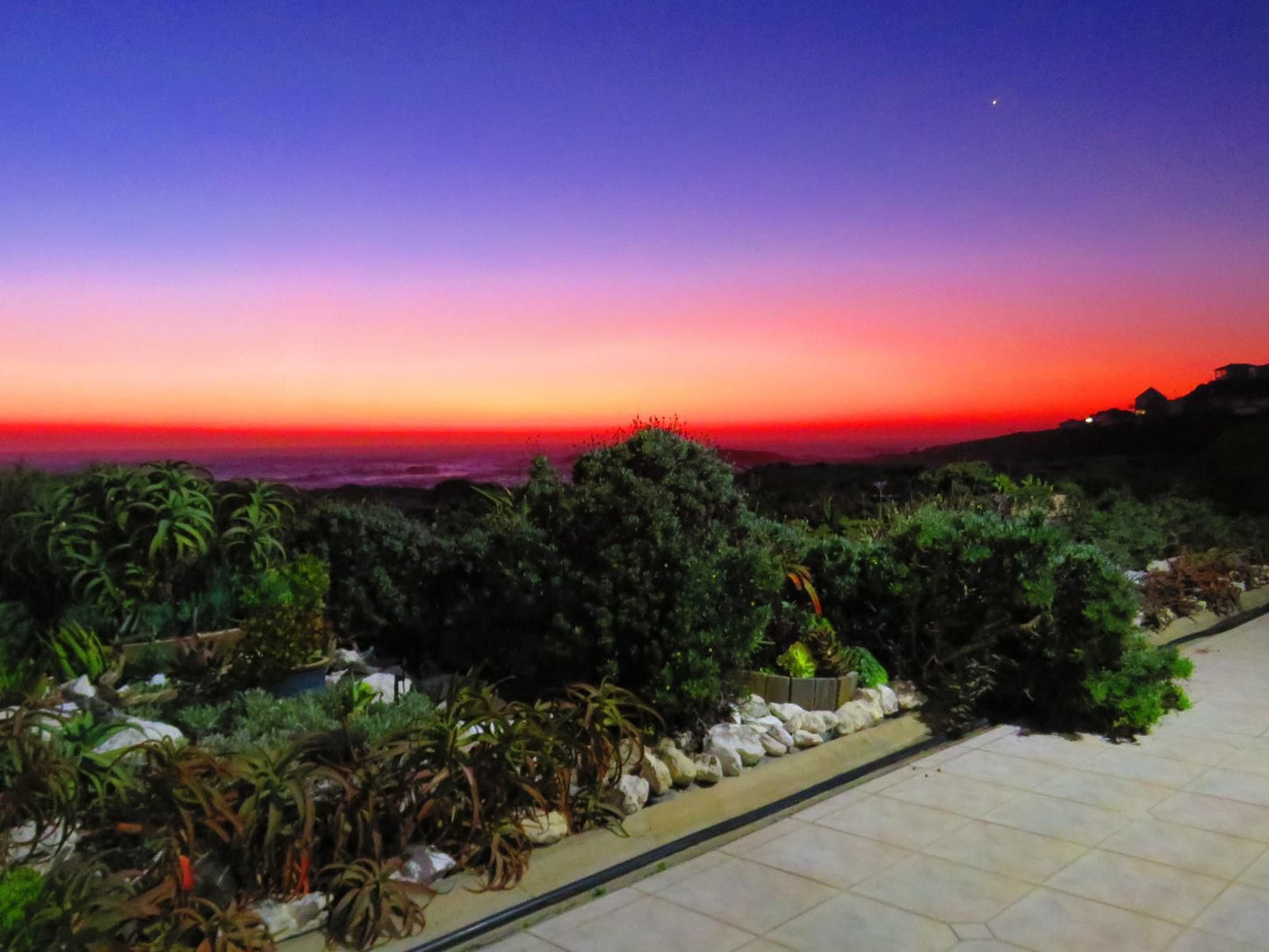 On The Beach Seabreeze Apartment Yzerfontein Western Cape South Africa Palm Tree, Plant, Nature, Wood, Framing, Garden, Sunset, Sky