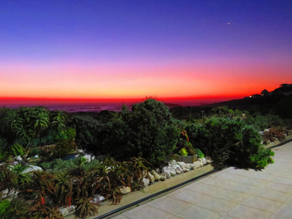 On The Beach Seabreeze Apartment Yzerfontein Western Cape South Africa Palm Tree, Plant, Nature, Wood, Framing, Garden, Sunset, Sky