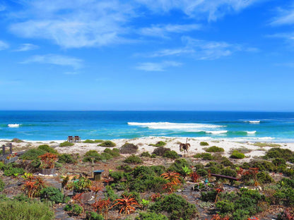 On The Beach Seabreeze Apartment Yzerfontein Western Cape South Africa Complementary Colors, Colorful, Beach, Nature, Sand