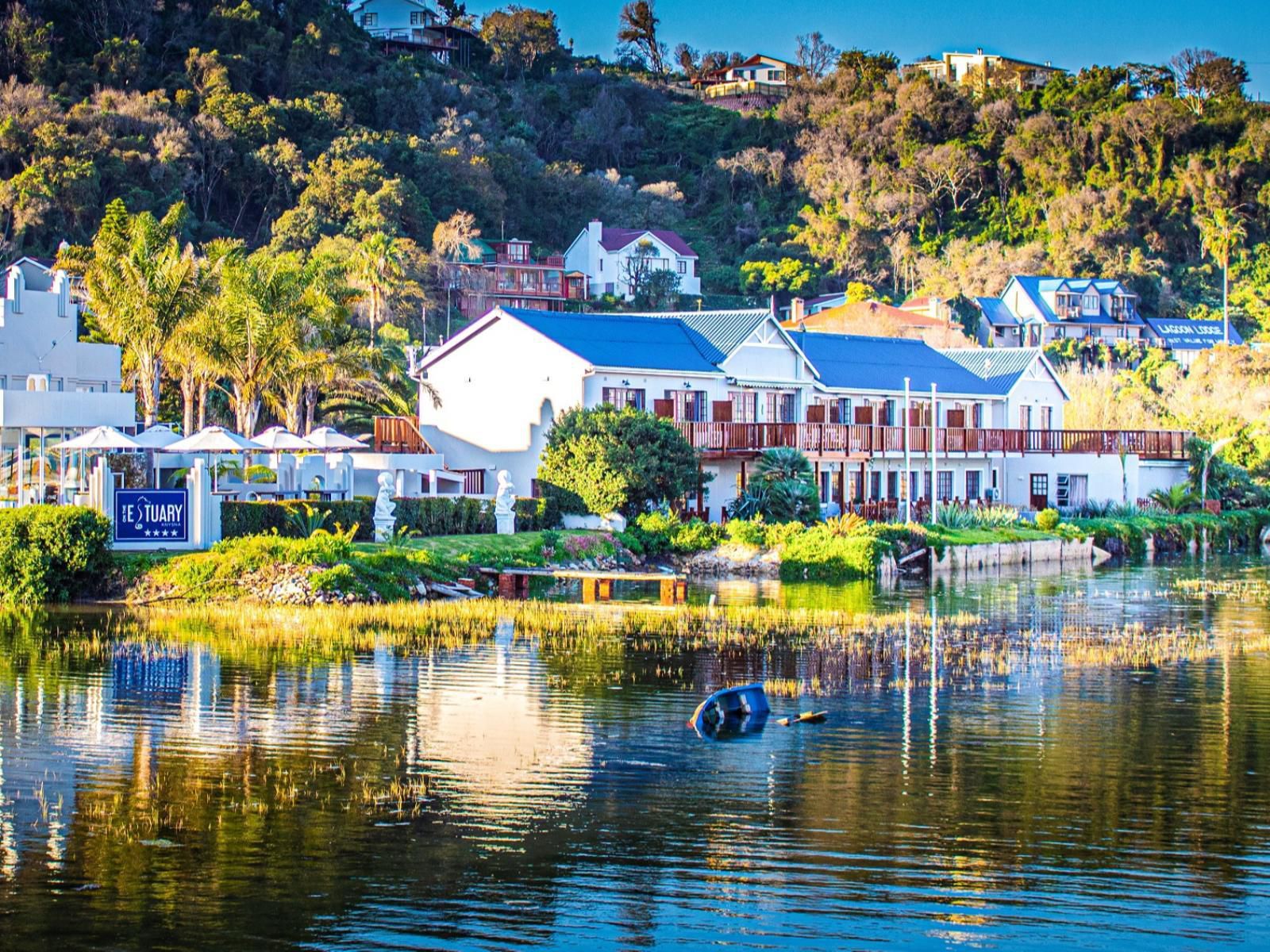 On The Estuary Kanonkop Knysna Western Cape South Africa Complementary Colors