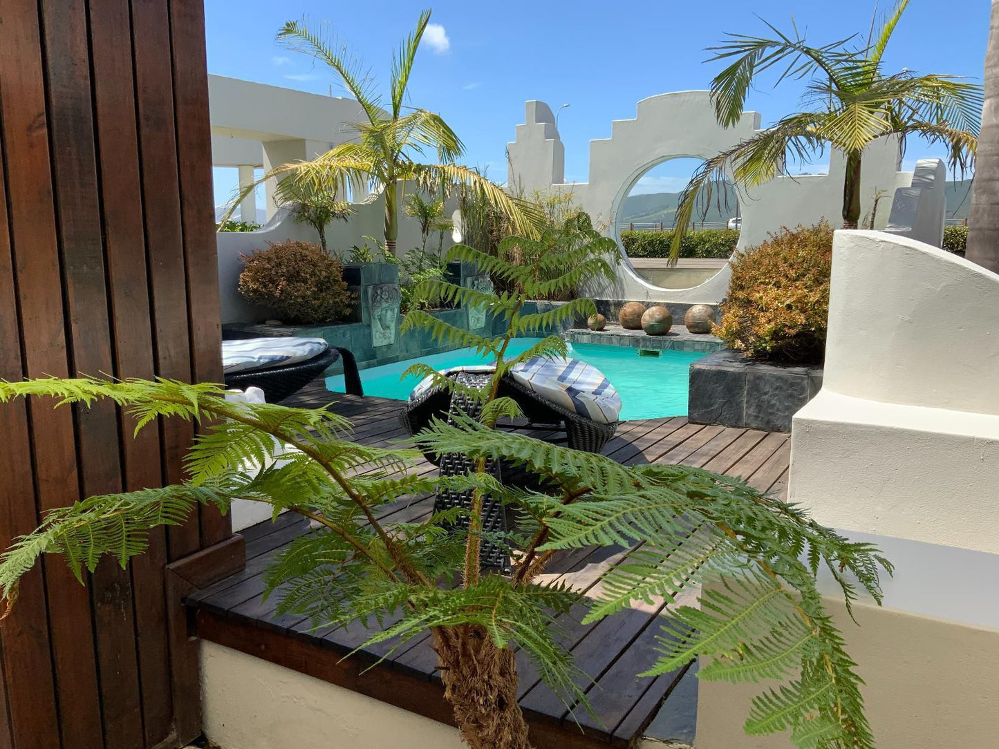 On The Estuary Kanonkop Knysna Western Cape South Africa Palm Tree, Plant, Nature, Wood, Garden, Swimming Pool