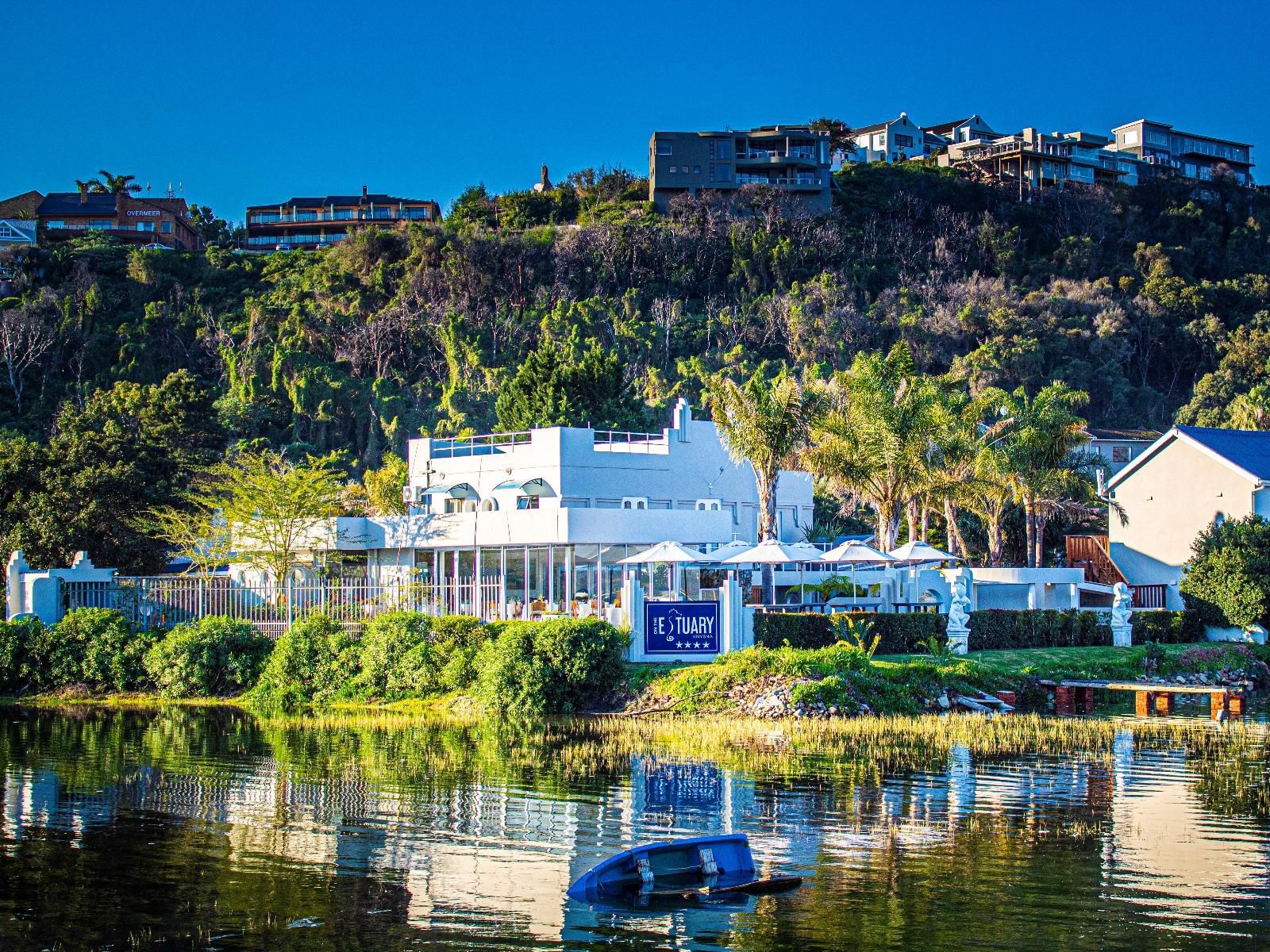 On The Estuary Kanonkop Knysna Western Cape South Africa Complementary Colors, Palm Tree, Plant, Nature, Wood