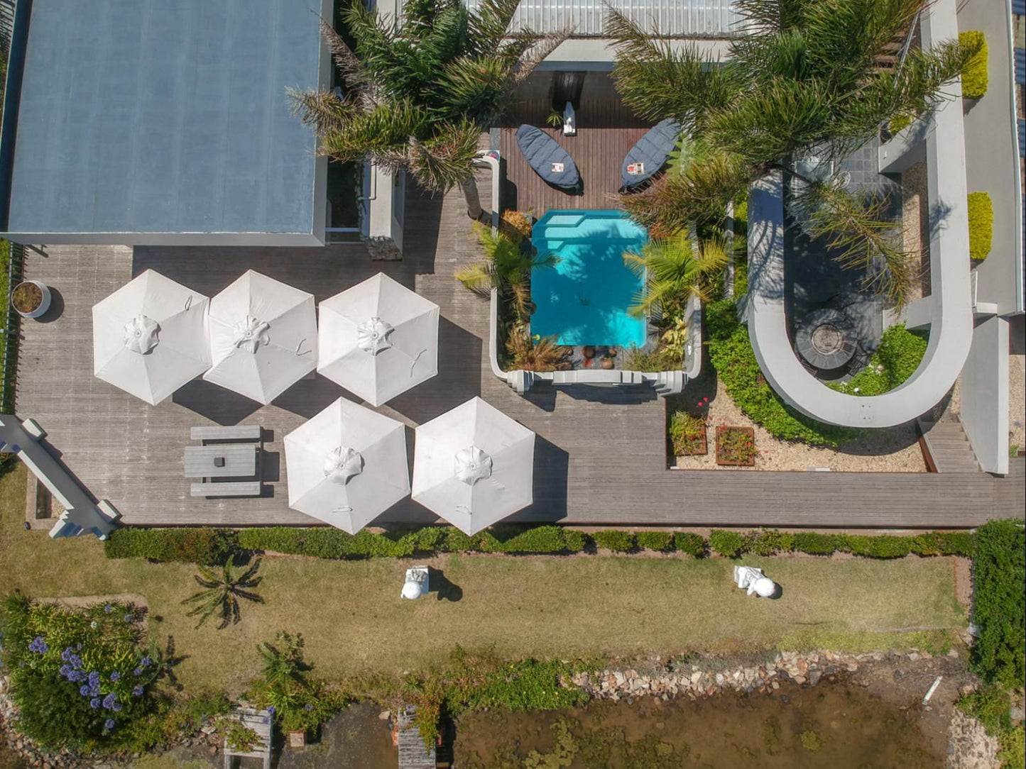 On The Estuary Kanonkop Knysna Western Cape South Africa Palm Tree, Plant, Nature, Wood, Swimming Pool