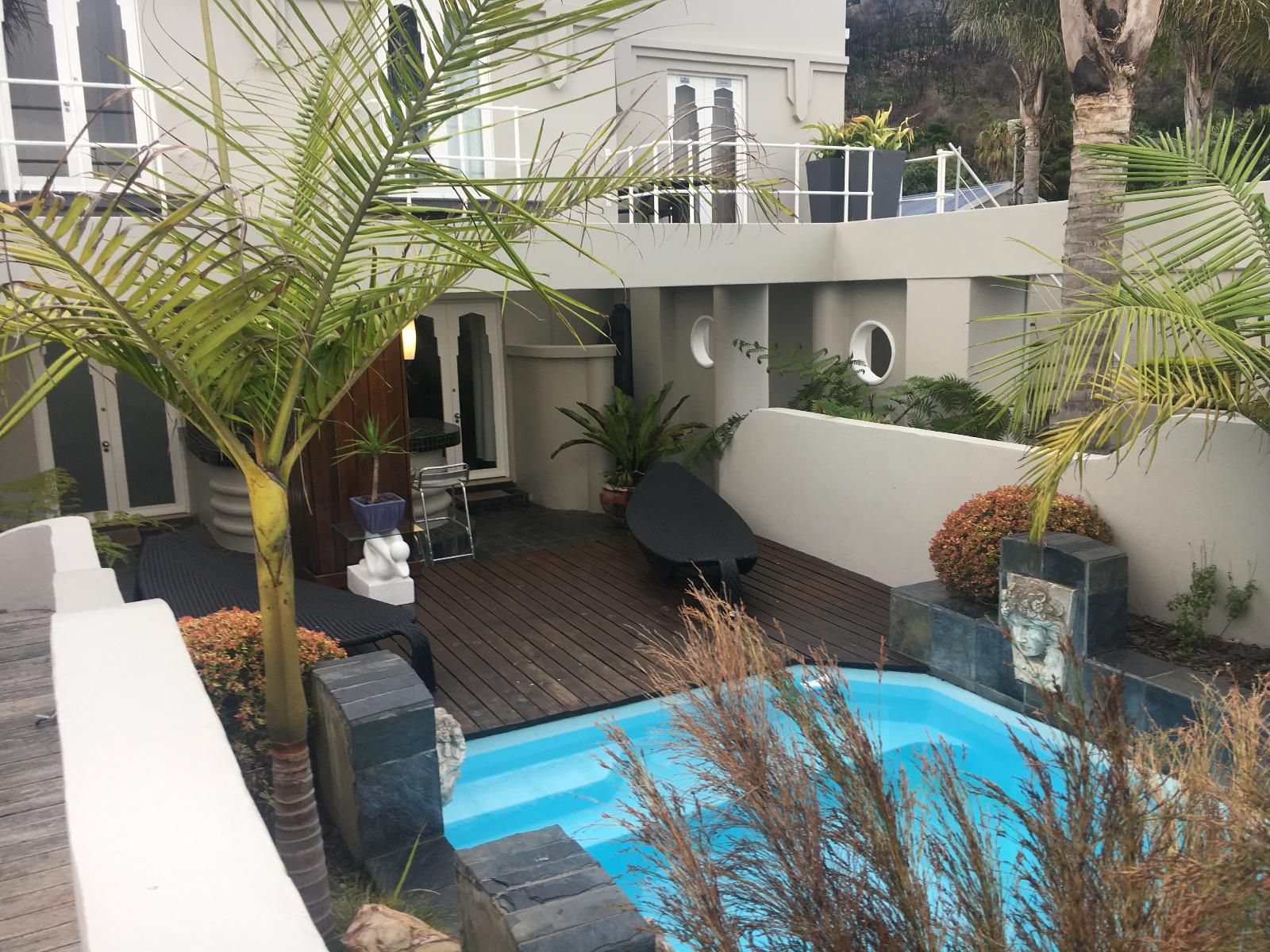 On The Estuary Kanonkop Knysna Western Cape South Africa House, Building, Architecture, Palm Tree, Plant, Nature, Wood, Garden, Swimming Pool