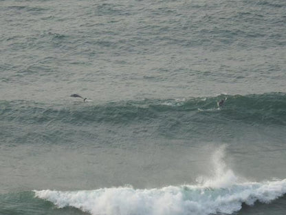 On The Ocean Fynnlands Durban Kwazulu Natal South Africa Colorless, Beach, Nature, Sand, Wave, Waters, Ocean, Surfing, Funsport, Sport, Water Sport