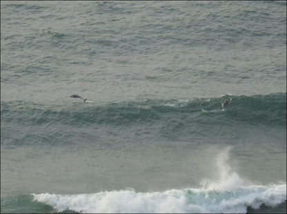 On The Ocean Fynnlands Durban Kwazulu Natal South Africa Colorless, Beach, Nature, Sand, Wave, Waters, Ocean, Surfing, Funsport, Sport, Water Sport