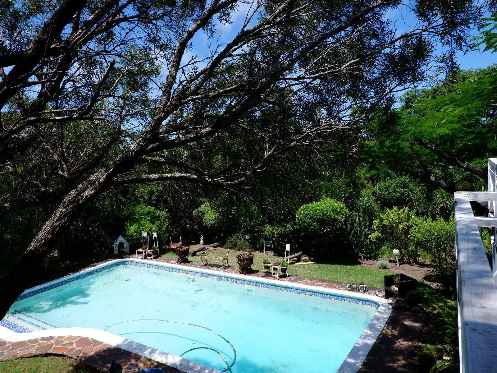 On The Summit Lodge Beacon Bay East London Eastern Cape South Africa Garden, Nature, Plant, Swimming Pool