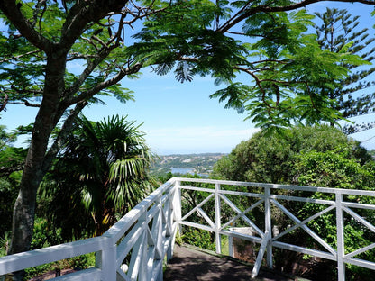 On The Summit Lodge Beacon Bay East London Eastern Cape South Africa Palm Tree, Plant, Nature, Wood