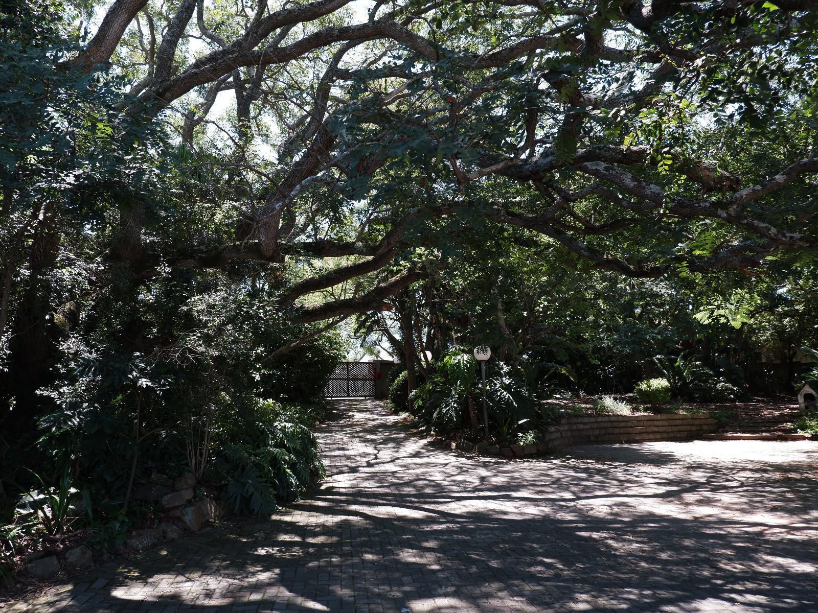 On The Summit Lodge Beacon Bay East London Eastern Cape South Africa Forest, Nature, Plant, Tree, Wood, Palm Tree, Garden