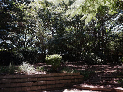 On The Summit Lodge Beacon Bay East London Eastern Cape South Africa Plant, Nature, Garden