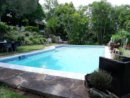 On The Summit Lodge Beacon Bay East London Eastern Cape South Africa Palm Tree, Plant, Nature, Wood, Garden, Swimming Pool