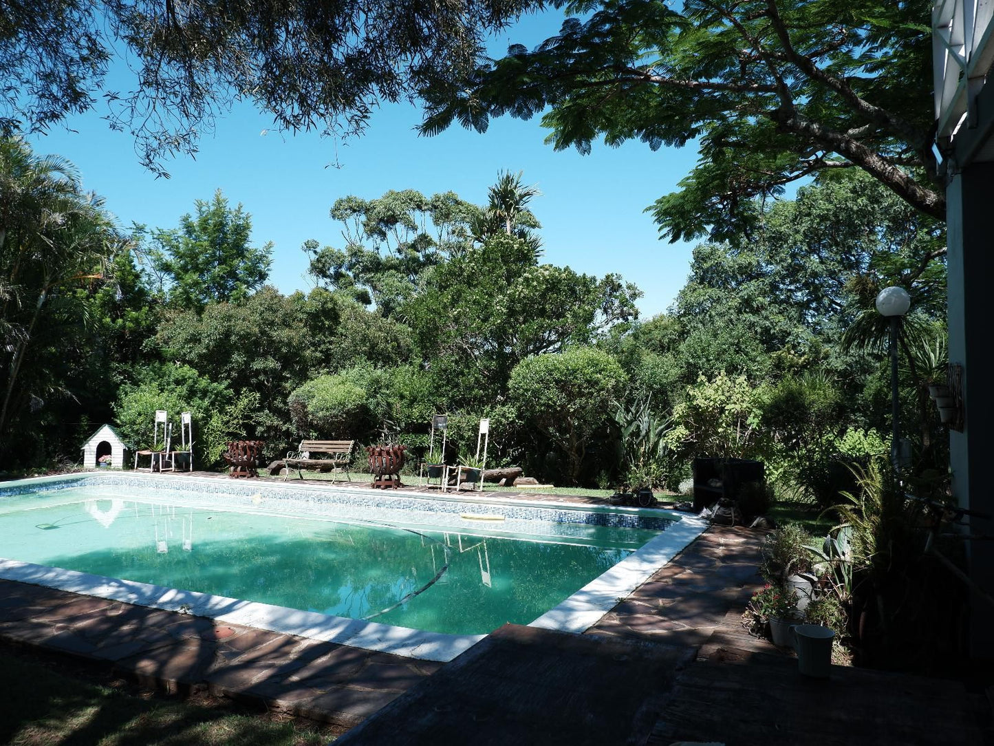 On The Summit Lodge Beacon Bay East London Eastern Cape South Africa Garden, Nature, Plant, Swimming Pool